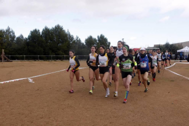 Cascante acogió este domingo, 3 de febrero, la prueba atlética.