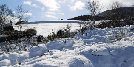 La borrasca 'Helena' cubre de nieve Pamplona y buena parte de Navarra