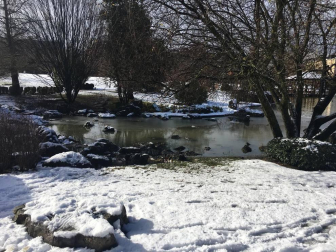 La borrasca 'Helena' cubre de nieve Pamplona y buena parte de Navarra