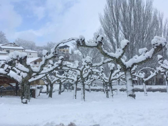 La borrasca 'Helena' cubre de nieve Pamplona y buena parte de Navarra