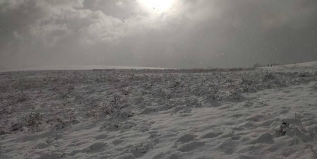 La borrasca 'Helena' cubre de nieve Pamplona y buena parte de Navarra