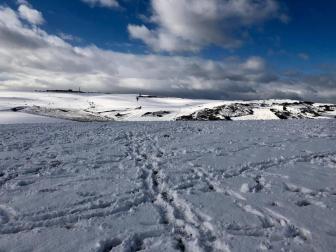 La borrasca 'Helena' cubre de nieve Pamplona y buena parte de Navarra