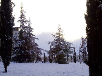 La borrasca 'Helena' cubre de nieve Pamplona y buena parte de Navarra