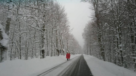 La borrasca 'Helena' cubre de nieve Pamplona y buena parte de Navarra
