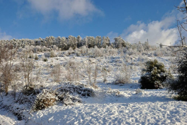 La borrasca 'Helena' cubre de nieve Pamplona y buena parte de Navarra
