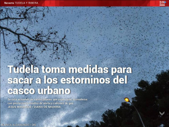 Ya está disponible El Diario DN+, nuestro adelanto para suscriptores, en móvil y tablet. Descárgate la aplicación móvil en http://onelink.to/dnplusmovil y la aplicación Tablet en http://onelink.to/dntablet.
