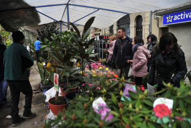 Tafalla celebró este domingo el último día de sus ferias con multitud de vecinos y visitantes que se acercaron a la plaza del Ayuntamiento donde se congregaron un total de treinta puestos artesanales y a la tradicional Rifa del Cuto.