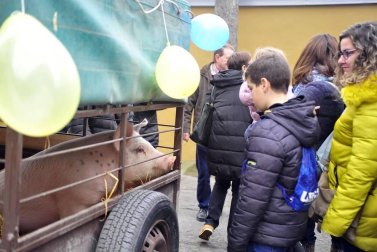 Tafalla celebró este domingo el último día de sus ferias con multitud de vecinos y visitantes que se acercaron a la plaza del Ayuntamiento donde se congregaron un total de treinta puestos artesanales y a la tradicional Rifa del Cuto.