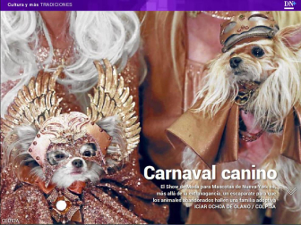 Ya está disponible El Diario DN+, nuestro adelanto para suscriptores, en móvil y tablet. Descárgate la aplicación móvil en http://onelink.to/dnplusmovil y la aplicación Tablet en http://onelink.to/dntablet.