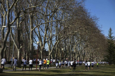Imágenes de la tercera edición de la Carrera de los Valientes, celebrada este domingo en el campus de la Universidad de Navarra.