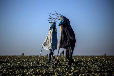 Disfraces tradicionales, bailes, carrozas por tierra y agua... Así están viviendo varias ciudades de Europa y América sus Carnavales