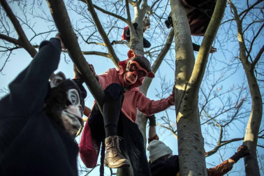 Disfraces tradicionales, bailes, carrozas por tierra y agua... Así están viviendo varias ciudades de Europa y América sus Carnavales