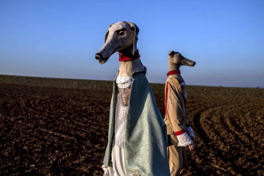Disfraces tradicionales, bailes, carrozas por tierra y agua... Así están viviendo varias ciudades de Europa y América sus Carnavales