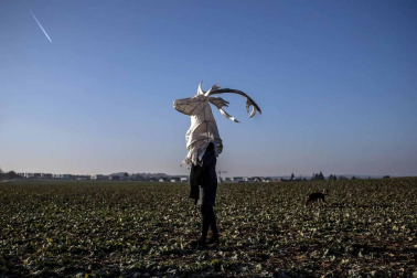 Disfraces tradicionales, bailes, carrozas por tierra y agua... Así están viviendo varias ciudades de Europa y América sus Carnavales