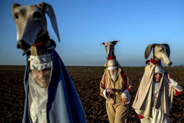 Disfraces tradicionales, bailes, carrozas por tierra y agua... Así están viviendo varias ciudades de Europa y América sus Carnavales