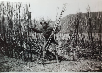 Un primer encuentro, teñido de emoción y nostalgia, iluminó el viernes en tafalla los recuerdos de Emigrantes navarros que partieron a las antípodas en décadas pasadas.