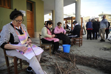 La I Fiesta del injerto llegó a Berbinzana con demostraciones del ayer y el hoy del injerto, una práctica sin la que no se entendería a la cultura de la vid y el vino en Navarra