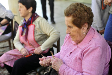 La I Fiesta del injerto llegó a Berbinzana con demostraciones del ayer y el hoy del injerto, una práctica sin la que no se entendería a la cultura de la vid y el vino en Navarra