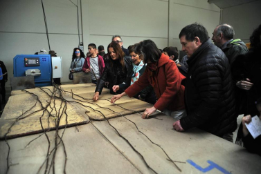 La I Fiesta del injerto llegó a Berbinzana con demostraciones del ayer y el hoy del injerto, una práctica sin la que no se entendería a la cultura de la vid y el vino en Navarra