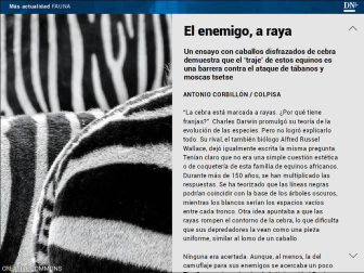 Ya está disponible El Diario DN+, nuestro adelanto para suscriptores, en móvil y tablet. Descárgate la aplicación móvil en http://onelink.to/dnplusmovil y la aplicación Tablet en http://onelink.to/dntablet.