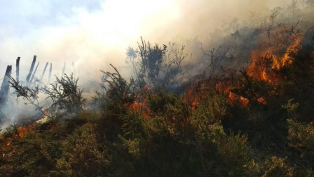 Dos helicópteros y un avión trabajan en el control de las llamas del incendio que afecta a una zona boscosa de Goizueta.