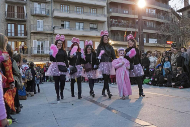 Fotos del carnaval de Estella 2019.