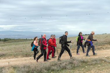 Javieradas 2019