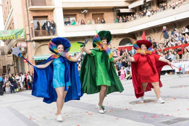 Fotos del carnaval de Villafranca 2019.