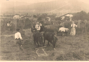 Fue un adelanto para su época en los año 30. con la experiencia en la gestión de molinos del entorno, la familia Jauregi se embarcó en la creación de su propia empresa: la Harinera San Miguel.