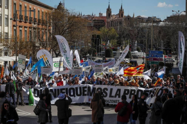 Las imágenes más llamativas de la semana