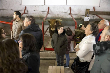 La plaza de toros de Pamplona vuelve a abrir sus puertas para quienes quieran conocer sus entrañas. El año pasado, 41.431 visitantes