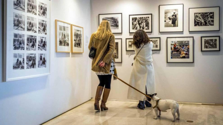 Las imágenes más llamativas de las últimas horas