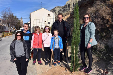 El sábado 16 de marzo los arguedanos se reunieron en el Paseo del Bordón para participar en una nueva edición del Día del árbol. La celebración se enmarcó dentro de la quinta edición de las Jornadas de Sostenibilidad, y en ella se plantaron 15 árboles y 45 rosales. Tras el duro pero divertido trabajo, los participantes pudieron disfrutar de   un almuerzo popular. Una cita muy entretenida para las familias.