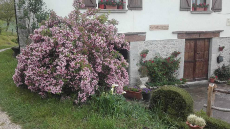 Envíanos la imagen por Whatsapp al número 687 04 00 98, indicando el lugar en el que están realizadas y el autor de las fotografías.