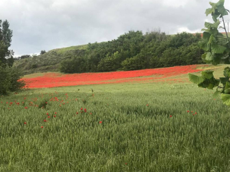 Envíanos la imagen por Whatsapp al número 687 04 00 98, indicando el lugar en el que están realizadas y el autor de las fotografías.