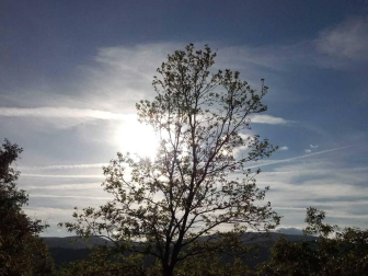 Envíanos la imagen por Whatsapp al número 687 04 00 98, indicando el lugar en el que están realizadas y el autor de las fotografías.