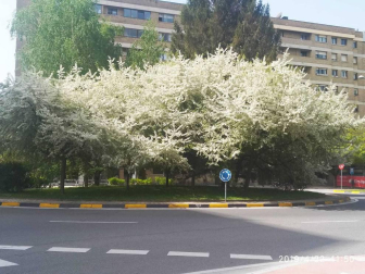Envíanos la imagen por Whatsapp al número 687 04 00 98, indicando el lugar en el que están realizadas y el autor de las fotografías.