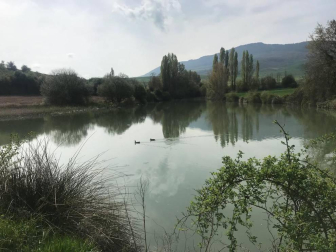 Envíanos la imagen por Whatsapp al número 687 04 00 98, indicando el lugar en el que están realizadas y el autor de las fotografías.