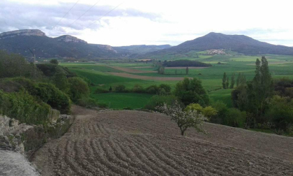 Envíanos la imagen por Whatsapp al número 687 04 00 98, indicando el lugar en el que están realizadas y el autor de las fotografías.