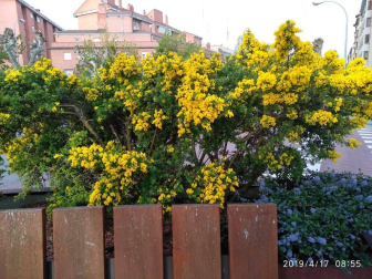 Envíanos la imagen por Whatsapp al número 687 04 00 98, indicando el lugar en el que están realizadas y el autor de las fotografías.