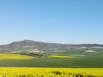 Envíanos la imagen por Whatsapp al número 687 04 00 98, indicando el lugar en el que están realizadas y el autor de las fotografías.