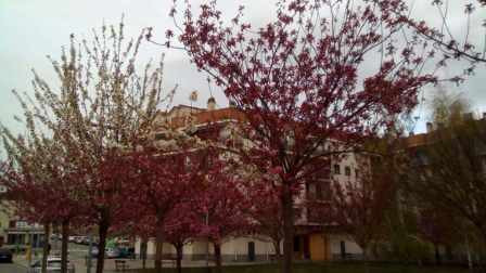 Envíanos la imagen por Whatsapp al número 687 04 00 98, indicando el lugar en el que están realizadas y el autor de las fotografías.