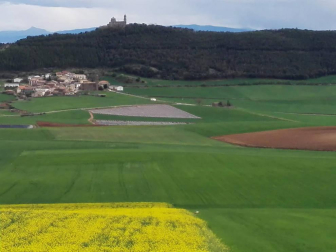 Envíanos la imagen por Whatsapp al número 687 04 00 98, indicando el lugar en el que están realizadas y el autor de las fotografías.