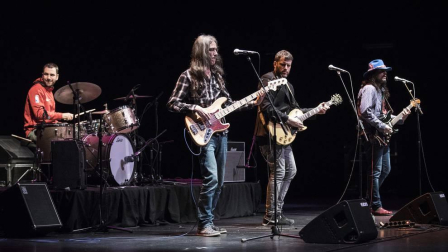 Minimusic organizó en Baluarte el espectáculo Rock en Familia. Descubriendo el Rock Internacional. Un viaje por la historia del rock internacional desde los años 50 hasta la actualidad.