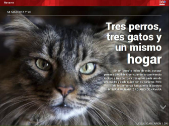 Ya está disponible El Diario DN+, nuestro adelanto para suscriptores, en móvil y tablet. Descárgate la aplicación móvil en http://onelink.to/dnplusmovil y la aplicación Tablet en http://onelink.to/dntablet.