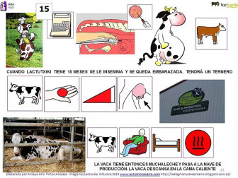 Pictogramas para la visita de los niños de ANA a las instalaciones de Lacturale