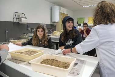 Alumnado del IES Tierra Estella.