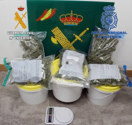 Agentes de la Guardia Civil y de la Policía Nacional desarticularon la banda tras una operación iniciada en San Adrián.