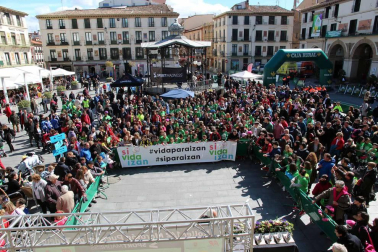 Fotos de la I Roller media maratón Puentes de Tudela