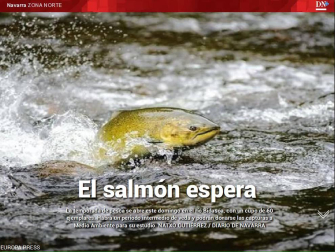 Ya está disponible El Diario DN+, nuestro adelanto para suscriptores, en móvil y tablet. Descárgate la aplicación móvil en http://onelink.to/dnplusmovil y la aplicación Tablet en http://onelink.to/dntablet.